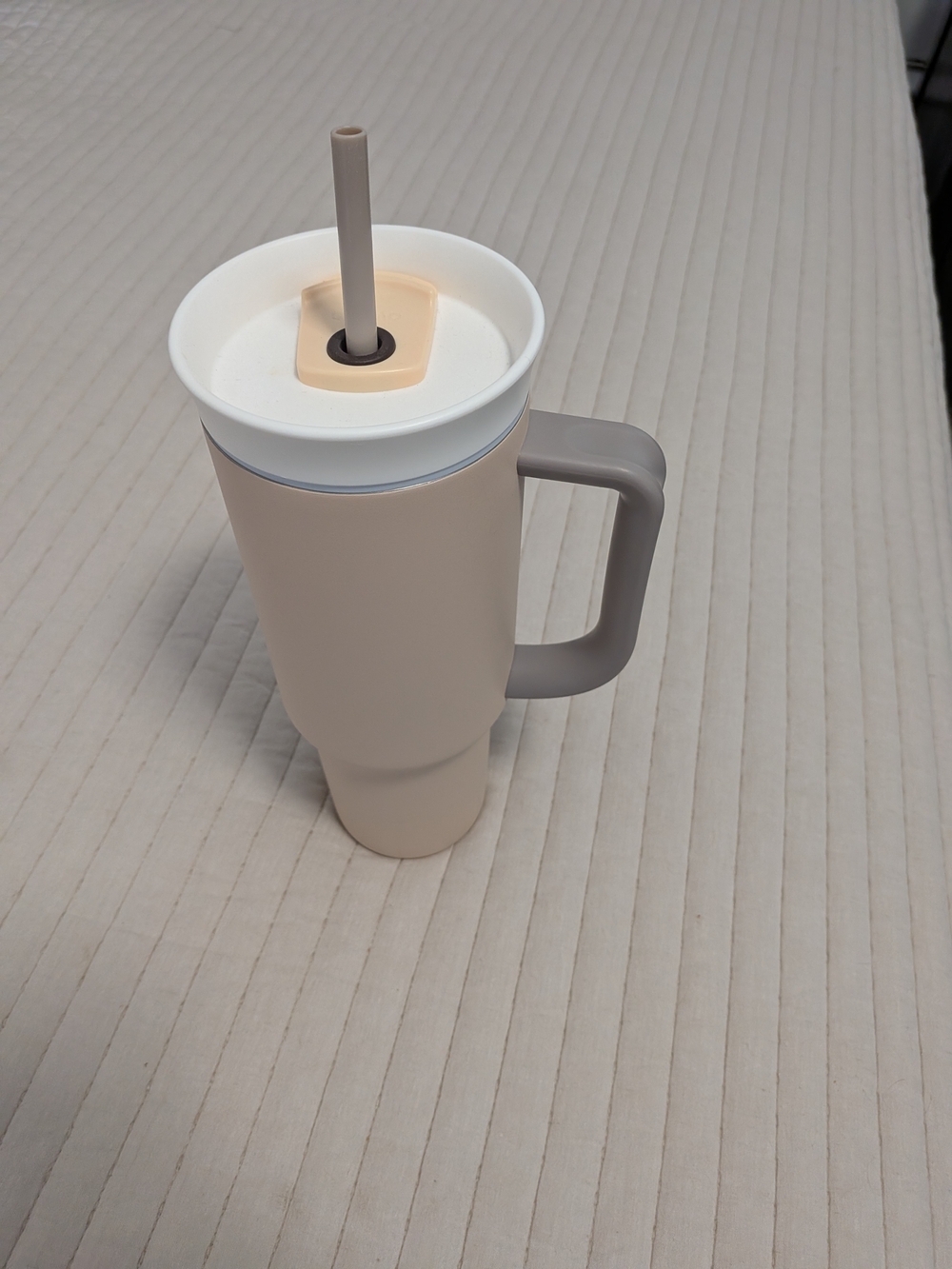 Neutral Beige Travel Tumbler with Handle and Reusable Straw